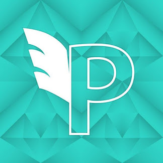 Peace Experience-logo